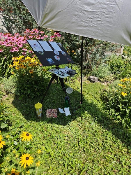 Plein-air painting purple coneflowers, in my gardens