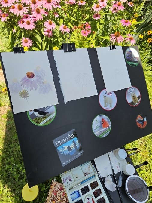 Plein-air painting, in my gardens
