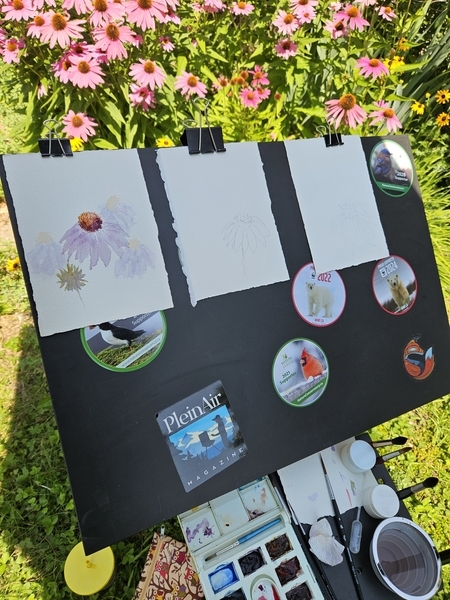 Plein-air painting, in my gardens