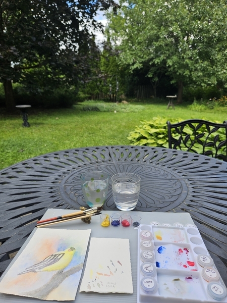 Plein-air painting an American Goldfinch