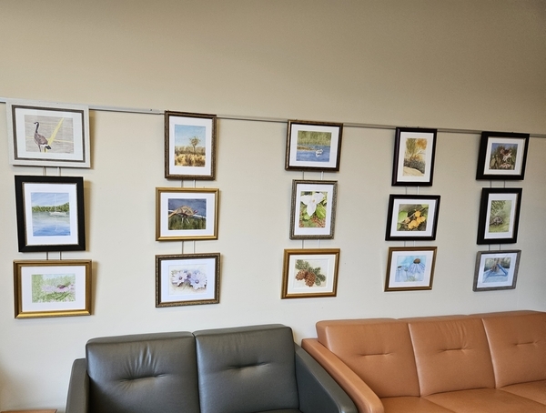 "Watercolours on Two Wheels", at the MCLL Lounge, McGill University